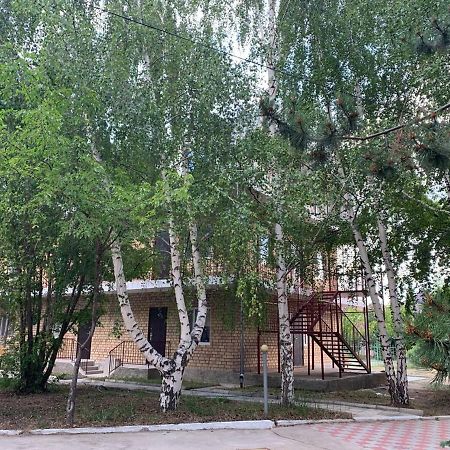 Delfin Murok Бостери Экстерьер фото