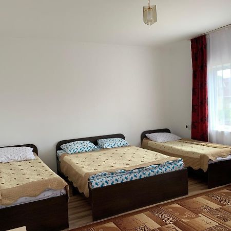 Delfin Murok Бостери Экстерьер фото