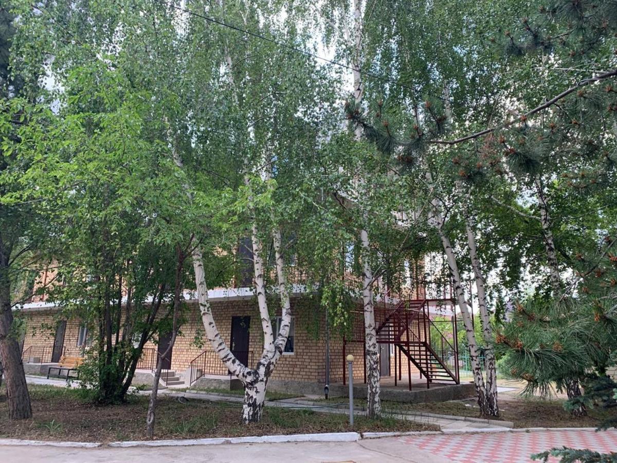 Delfin Murok Бостери Экстерьер фото