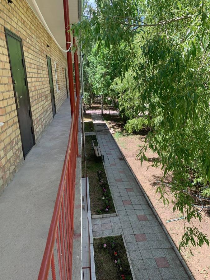 Delfin Murok Бостери Экстерьер фото