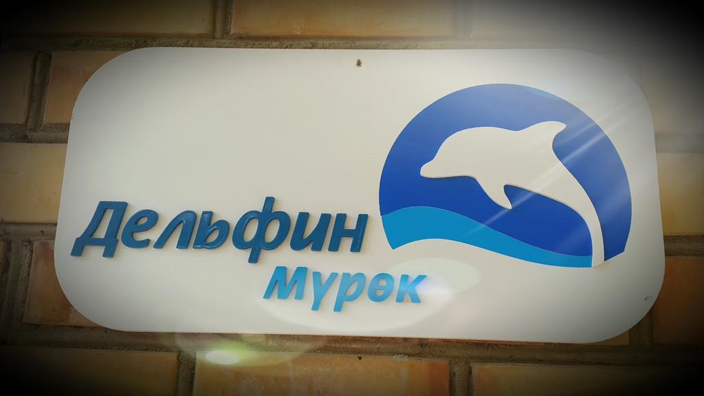 Delfin Murok Бостери Экстерьер фото